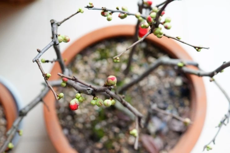 DSC06314.JPG?type=w2