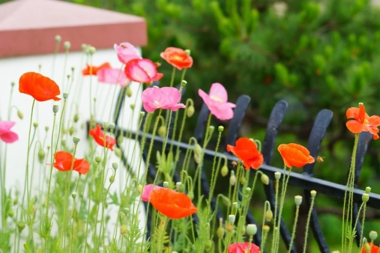 DSC02816.JPG?type=w773