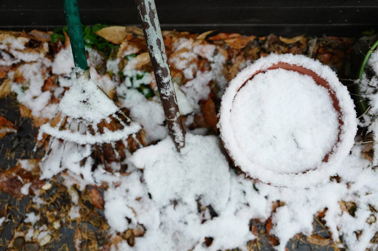 L1160926 - 복사본.JPG