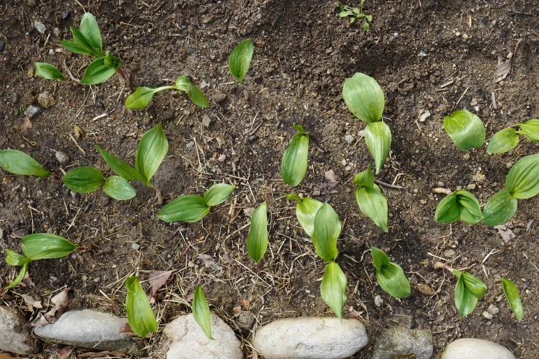 L1270820.JPG?type=w773