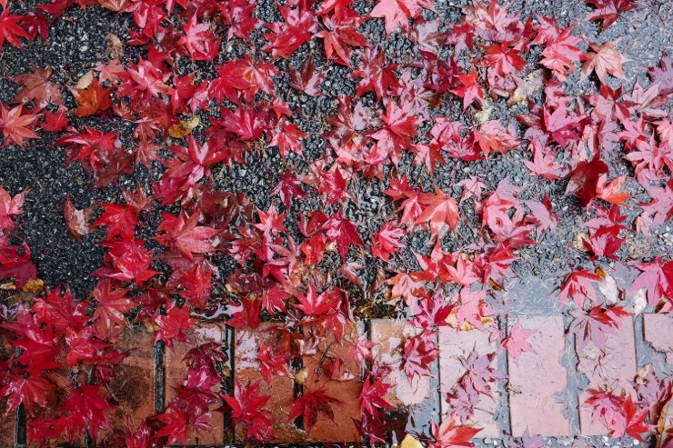 IMG_9399.jpg?type=w773