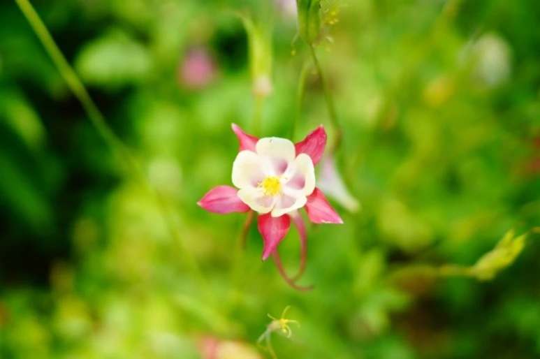 DSC02564.JPG?type=w773