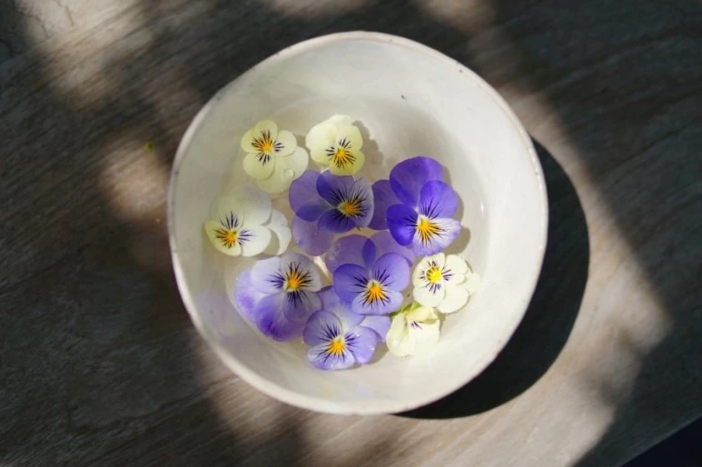 DSC01400.JPG?type=w773