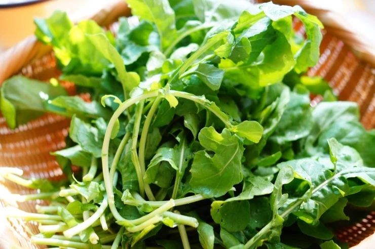 DSC01675.JPG?type=w773