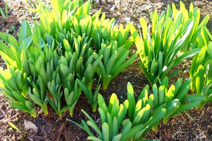 DSC05553.JPG?type=w2