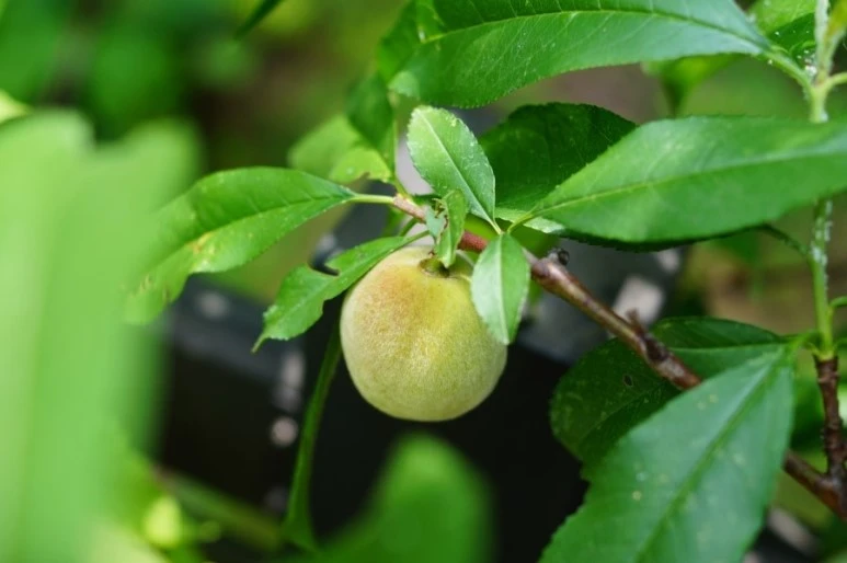 DSC02893.JPG?type=w773