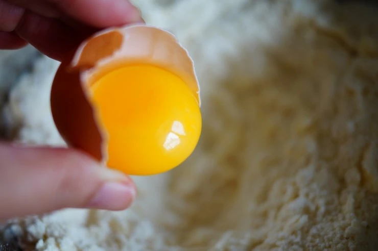 DSC06735.JPG?type=w2