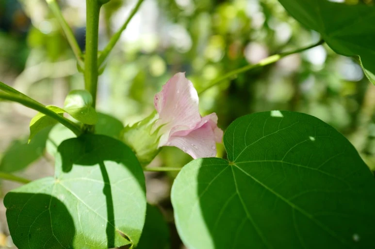 L1610838.JPG?type=w773