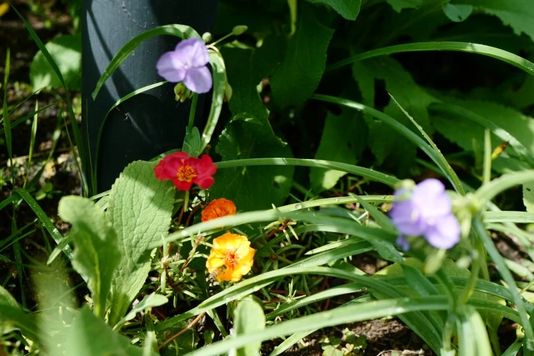 L1610871.JPG?type=w773