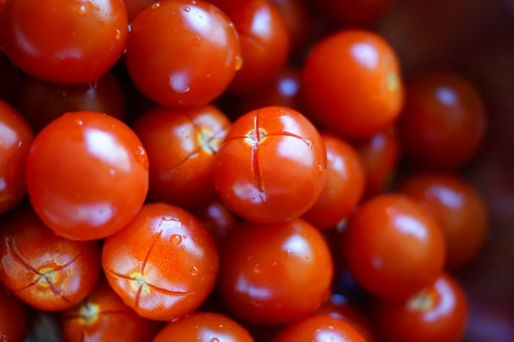 DSC00230.JPG?type=w773