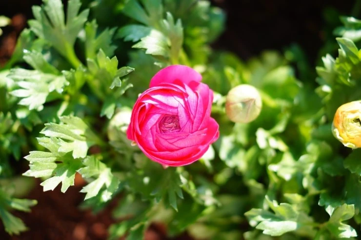 DSC05699.JPG?type=w2