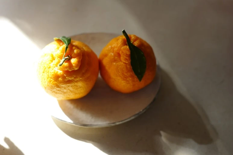 L1210634.JPG?type=w773