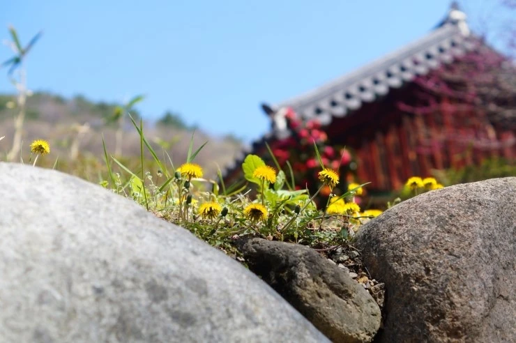 DSC05750.JPG?type=w2