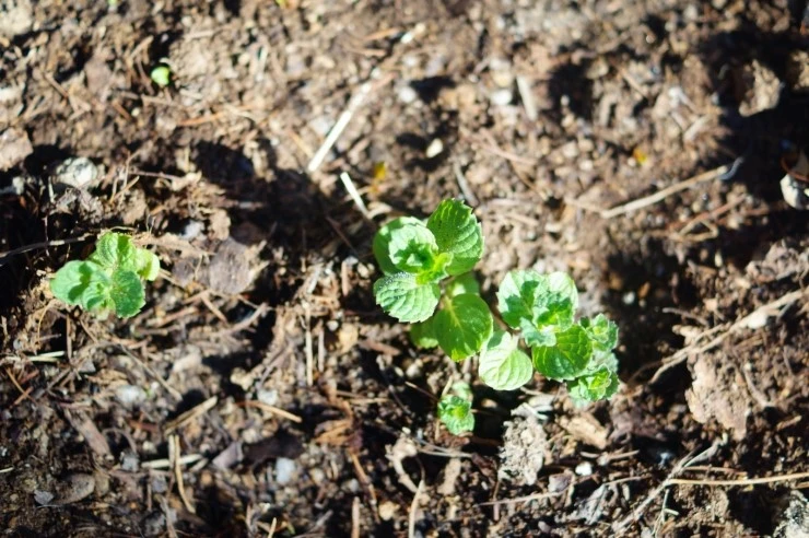 DSC05663.JPG?type=w2