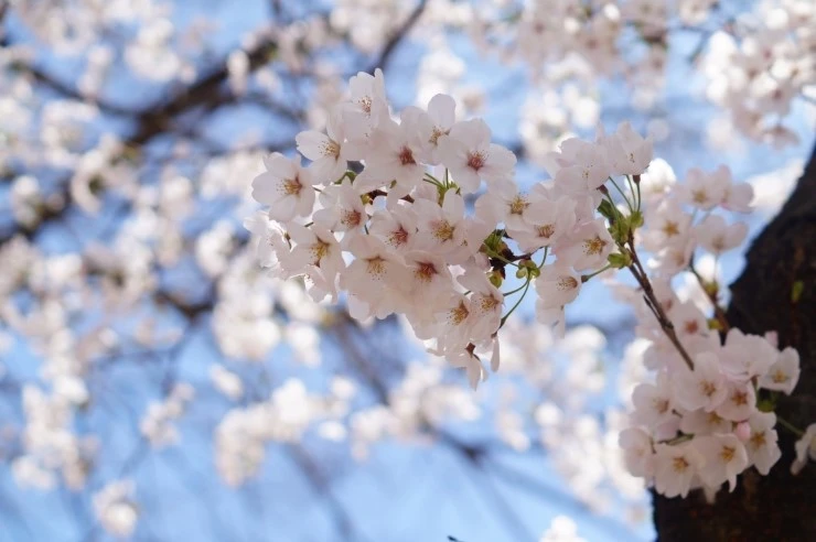 DSC05781.JPG?type=w2