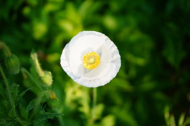 DSC01295.JPG?type=w773