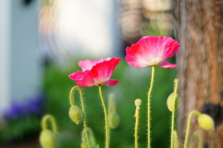 DSC00425.JPG?type=w773