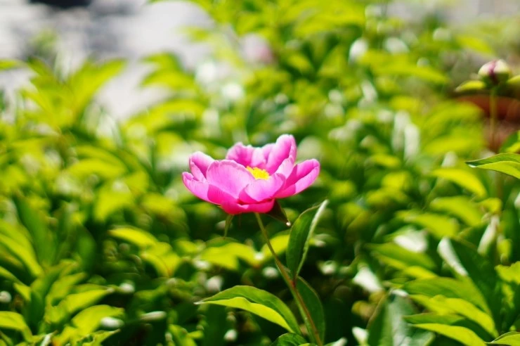 DSC00355.JPG?type=w773