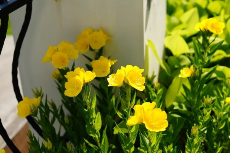 DSC01389.JPG?type=w773