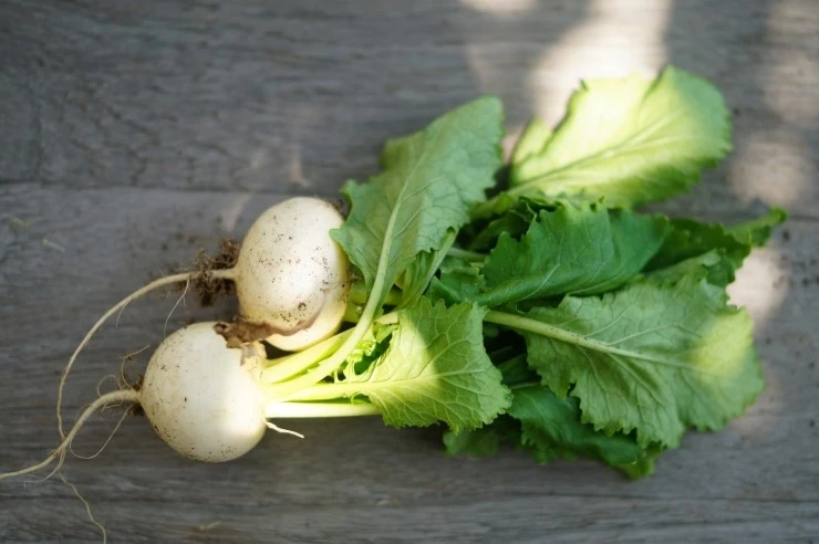 DSC09926.JPG?type=w773