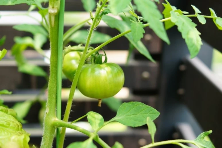 DSC02124.JPG?type=w773