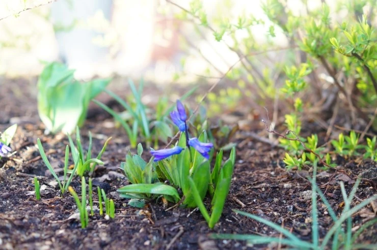 DSC05585.JPG?type=w2