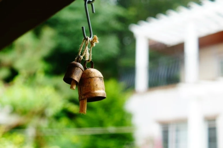 DSC03052.JPG?type=w773