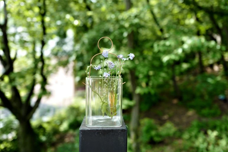 L1550208.JPG?type=w773