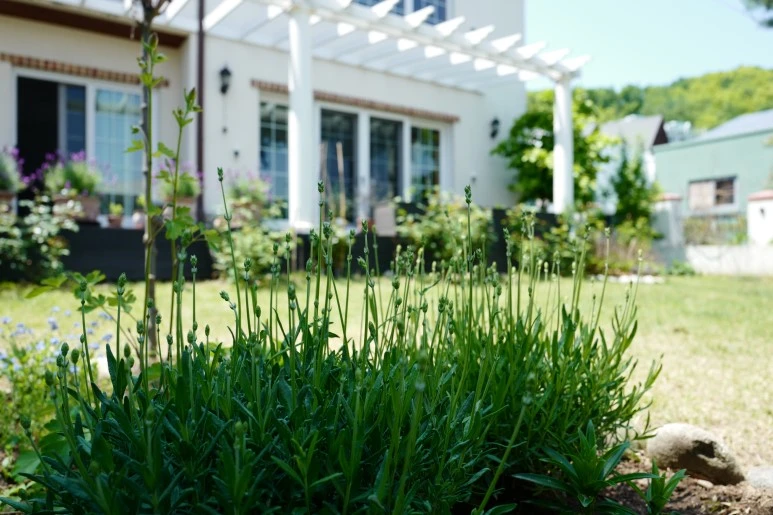 L1540445.JPG?type=w773