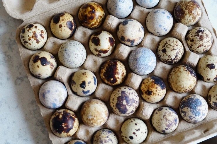 DSC03009.JPG?type=w2