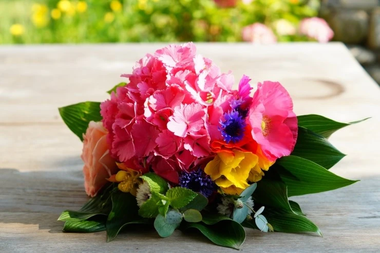 DSC01655.JPG?type=w773