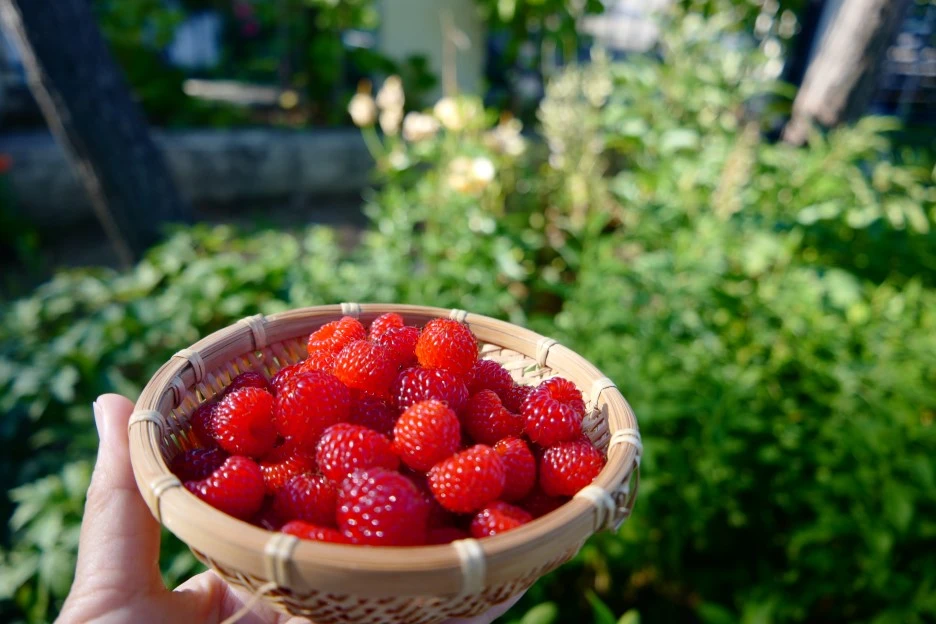 L1030350.JPG?type=w1