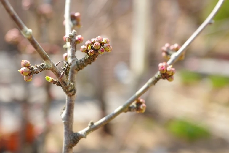 L1270877.JPG?type=w773