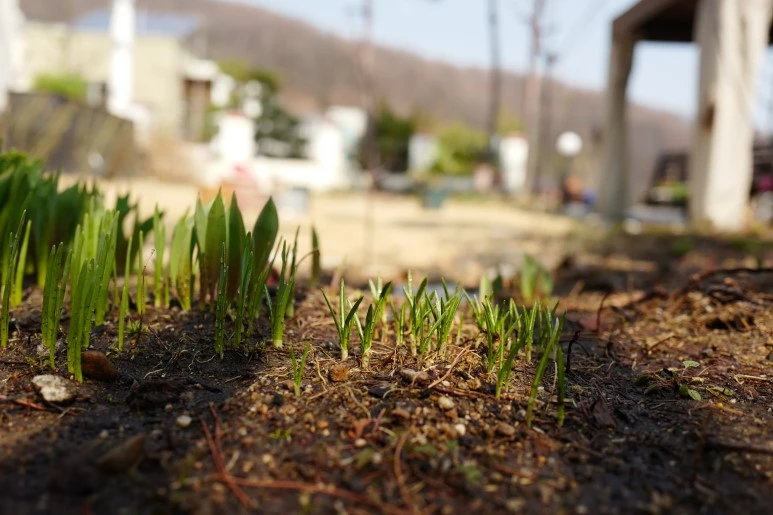 L1270859.JPG?type=w773