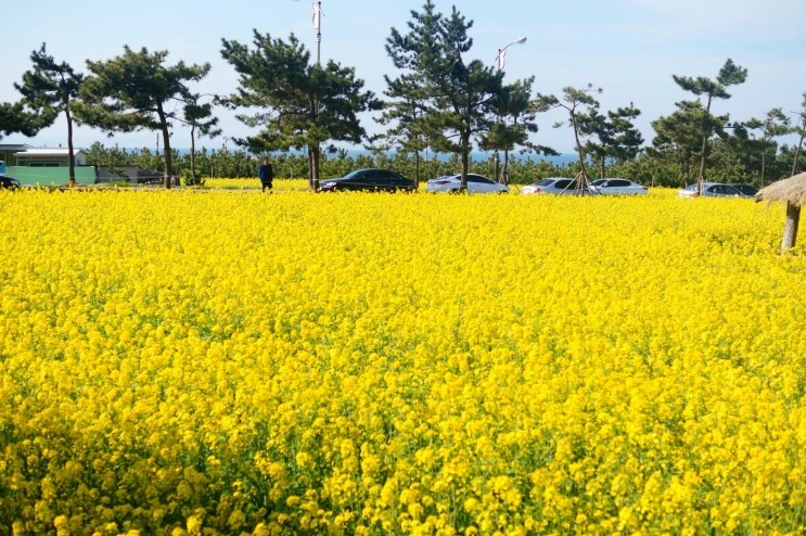 DSC05806.JPG?type=w2