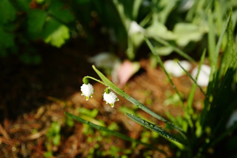 L1320652.JPG?type=w773