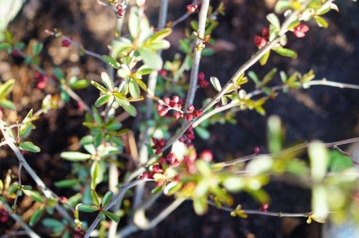 DSC05588.JPG?type=w2