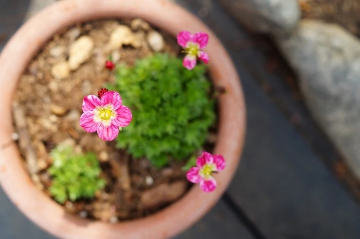 DSC08284.JPG?type=w773