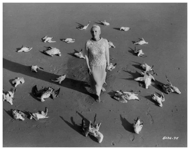 새들은 페루에 가서 죽다1.jfif