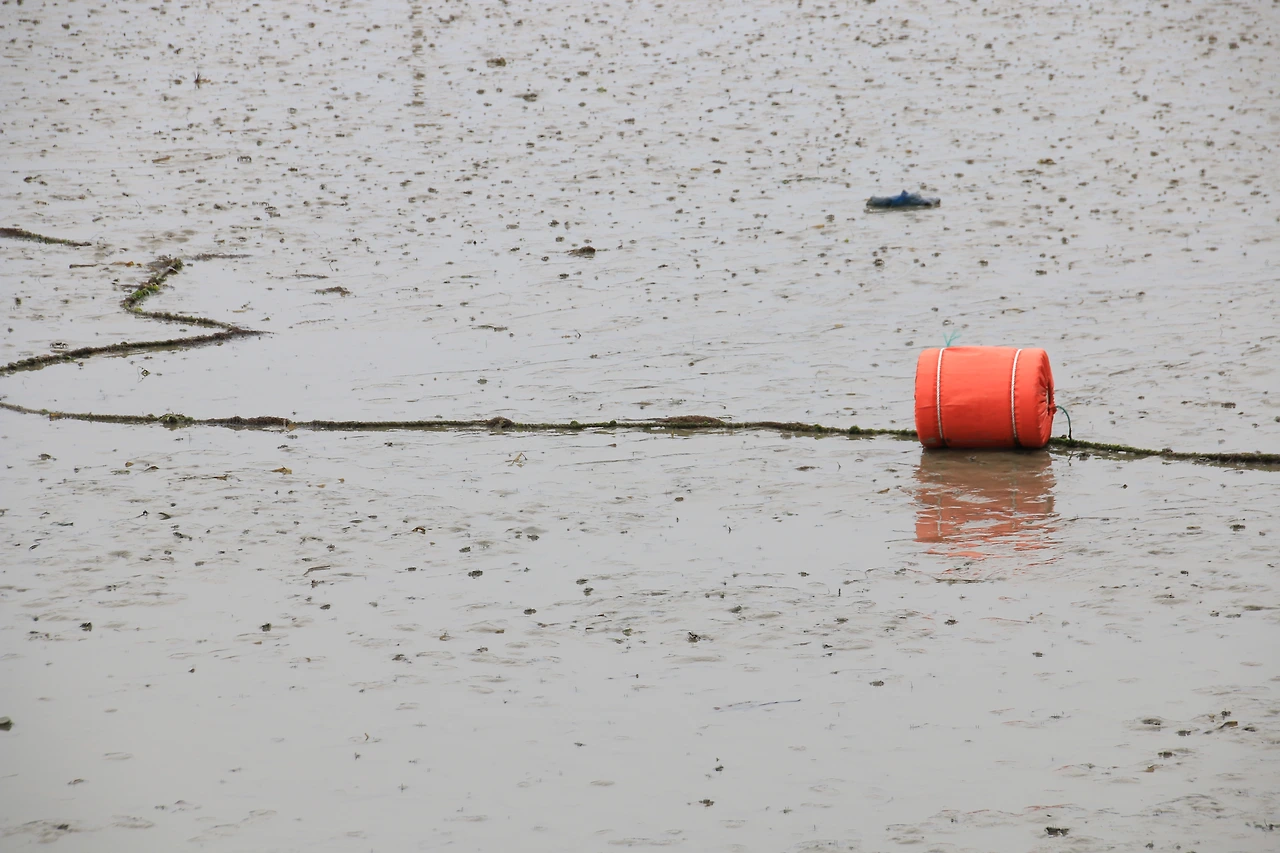 2019.2.연홍도 131.JPG