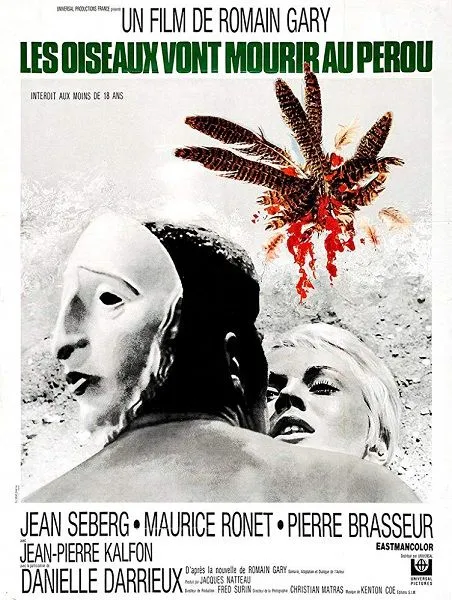 새들은 페루에 가서 죽다2.jfif