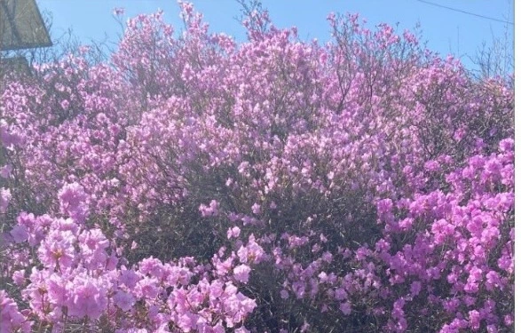 5dda5cc51f32c2884468fec32297b8e170f19d4d