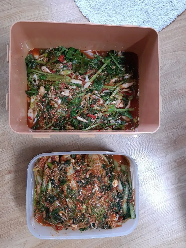 84b4a5ed9f30021f74ae468b60b400325c1209ea