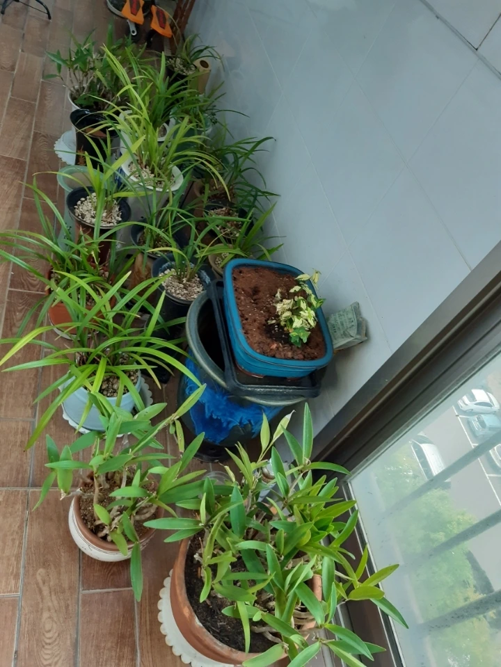 eef0cf6c61617a35f5aec68615ec64c17cf6d39f