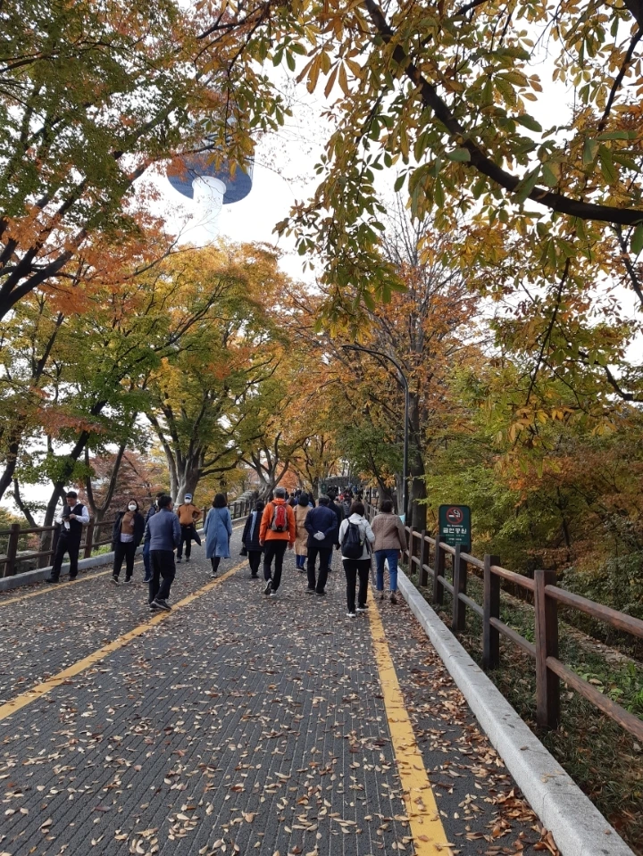 ca6ce26b50a5fb7818ca5121db0efad38c35d815