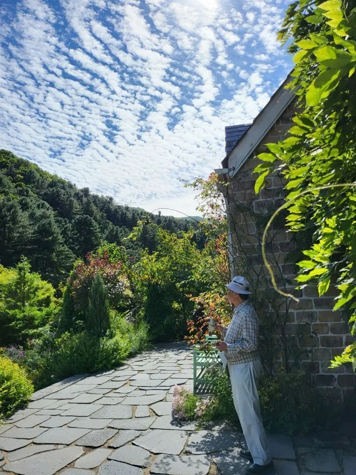 d22e3c28d07766a12833675fc904c9c5ce67908a