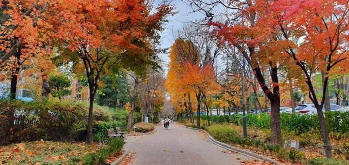 aae34c8546f7b7211e4a1931ad8642897da10360