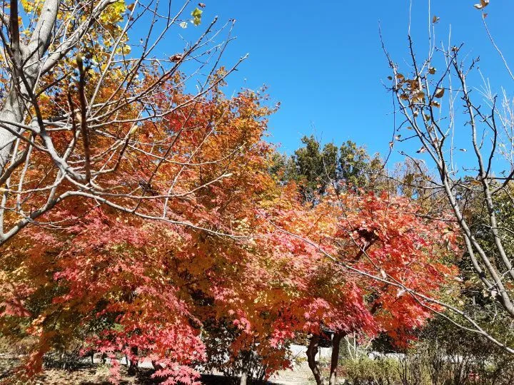 6d139e8251bd1e665965c66955a22c4c60305fc0