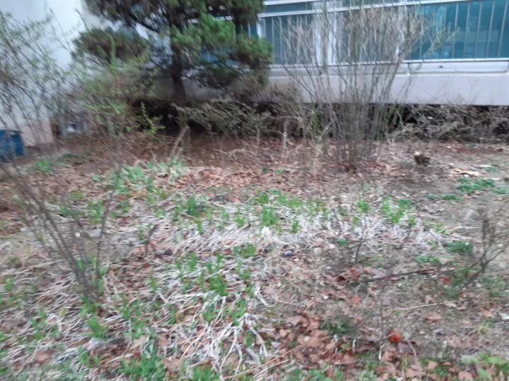 75882899a68ab7c65ea4f9065956edcd2aef66ca