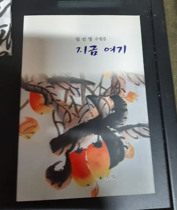 e45721ca5c6dda565f3e287bb7d4860da1997a58